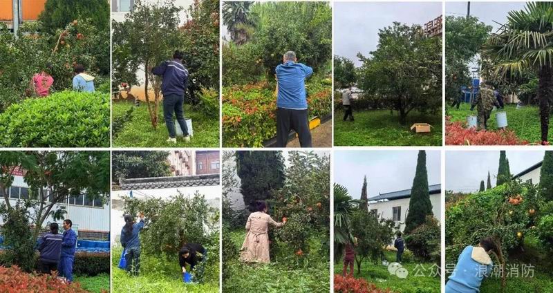 640_wx_fmt=jpeg&from=appmsg&watermark=1&tp=webp&wxfrom=5&wx_lazy=1 (1).jpg