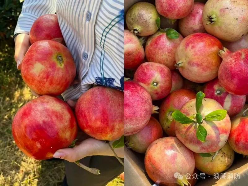 640_wx_fmt=jpeg&from=appmsg&watermark=1&tp=webp&wxfrom=5&wx_lazy=1 (2).jpg